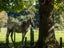 1513 Hikumutu Road, Hikumutu, Taumarunui - Carousel 20