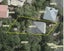83 Todman Street, Brooklyn, Wellington - Carousel 14