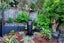 2/8 Carrigans Close, Pinehill, Auckland - Carousel 13
