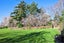 9 Halswell Junction Road, Halswell, Christchurch - Carousel 19