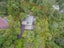 36 Tanekaha Road, Titirangi, Auckland - Carousel 22