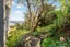 31 Lawrence Street, Newtown, Wellington - Carousel 14