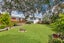 10 Eskdale Road, Birkdale, Auckland - Carousel 2