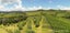 5 Brown Road, Onetangi, Waiheke Island - Carousel 9