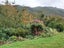 276 Mitchell Street, Brooklyn, Wellington - Carousel 14