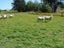 721 Queens Drive, Waikiwi, Invercargill - Carousel 5