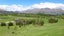 10 Mace Lane, Arrowtown, Arrowtown - Carousel 4