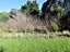 687 Gorge Road, Ballance - Carousel 4