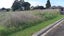 13 Tui Street, Kaikohe, Kaikohe - Carousel 1
