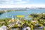 41 Maritime Terrace, Birkenhead, Auckland - Carousel 3