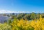 22 Patanga Crescent, Thorndon, Wellington - Carousel 7