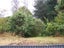 78A Parsons Street, Springvale, Whanganui - Carousel 10