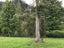 39 Boswell Street, Kawakawa, Kawakawa - Carousel 18