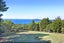 180 Pumpkin Hill Road, Pumpkin Hill - Carousel 3