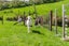 387 Ohariu Valley Road, Ohariu, Wellington - Carousel 6
