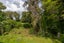 25A Aberfoyle Street, Dinsdale, Hamilton - Carousel 9
