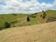 0 Hanning Road, Earnscleugh, Alexandra - Carousel 11
