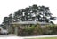 50 Silverton Avenue, Wai o Taiki Bay, Auckland - Carousel 1