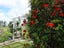 6035 State Highway 12, Arapohue, Dargaville - Carousel 24