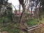 64 Beach Road, Long Beach, Port Chalmers - Carousel 5