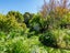 7 Graham Street, Blenheim - Carousel 18