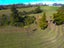 194 Annandale Road, Kumeū - Carousel 23