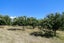 85 Rowling Loop, Lower Moutere - Carousel 13