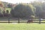 893D Puketona Road, Haruru, Kerikeri - Carousel 15