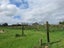 7281 State Highway 1, PAKARAKA, KAIKOHE - Carousel 1