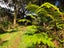 0 Kaitaia Awaroa Road, Ahipara, Kaitaia - Carousel 15
