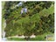 107 Taneatua Road, Whakatane, Whakatāne - Carousel 22