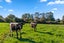 19 Kingsley Drive, Ngongotaha, Rotorua - Carousel 20