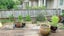 34A Waterloo Street, Howick, Auckland - Carousel 13