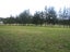 18 Lily Pond  LANE, Haruru, KAWAKAWA - Carousel 9