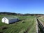 4358 Masterton Castlepoint Road, Masterton - Carousel 7