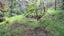 0 Whatuwhiwhi Road, Karikari Peninsula - Carousel 17