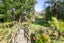 144A Godley Road, Green Bay, Auckland - Carousel 11