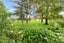 806 Waerenga Road, Waerenga - Carousel 9