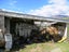 57 Quebec Road, Washington Valley, Nelson - Carousel 17