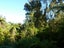 35 Mokihinui Preserve, Seddonville, Westport - Carousel 25