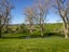 476 Hatuma Road, Waipukurau, Waipukurau - Carousel 5
