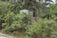 4 Wilson Avenue, Kawau Island - Carousel 3