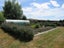 380E Upper Plain Road, Upper Plain, Masterton - Carousel 13
