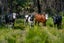 0 Pukewhai Road, Kaingaroa, Kaitaia - Carousel 12