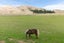 355 Ohariu Valley Road, Ohariu, Wellington - Carousel 19