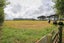 0 Ngariki Road, Rahotu, Opunake - Carousel 20