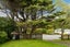 31 Redwood Avenue, Tawa, Wellington - Carousel 16