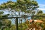 1/11 Amelia Place, Beach Haven, Auckland - Carousel 21
