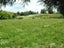 0 Hanning Road, Earnscleugh, Alexandra - Carousel 7