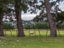0 State Highway 53, South Featherston, Featherston - Carousel 14